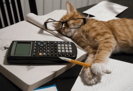 спящий кот с калькулятором